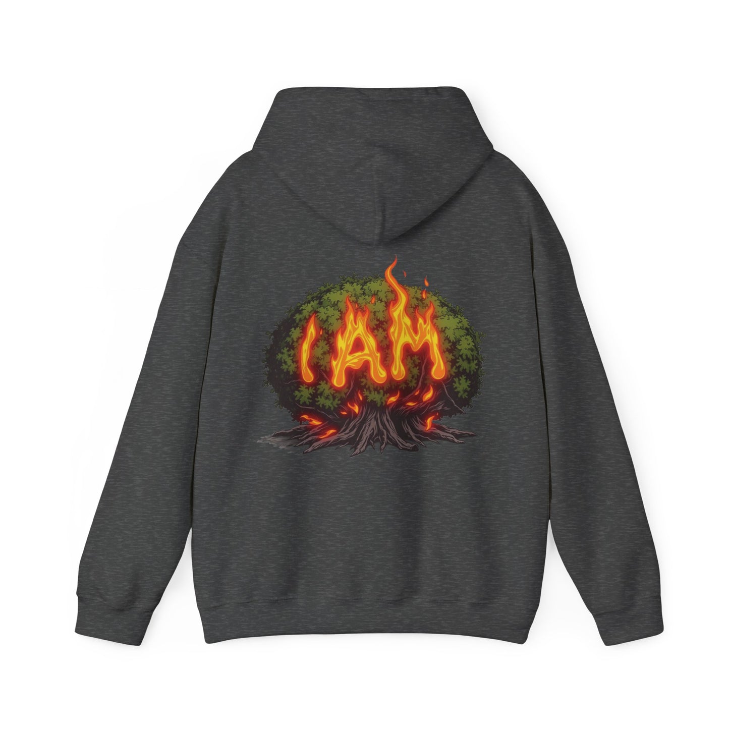'Exodus 3:14 I AM' Hoodie