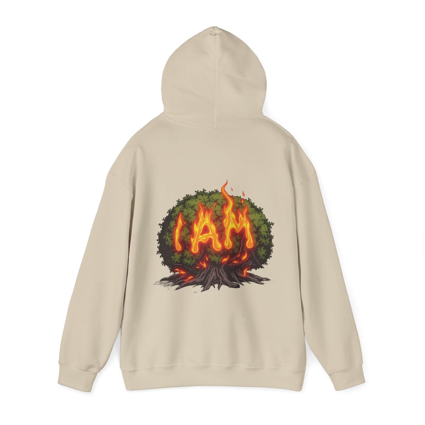 'Exodus 3:14 I AM' Hoodie