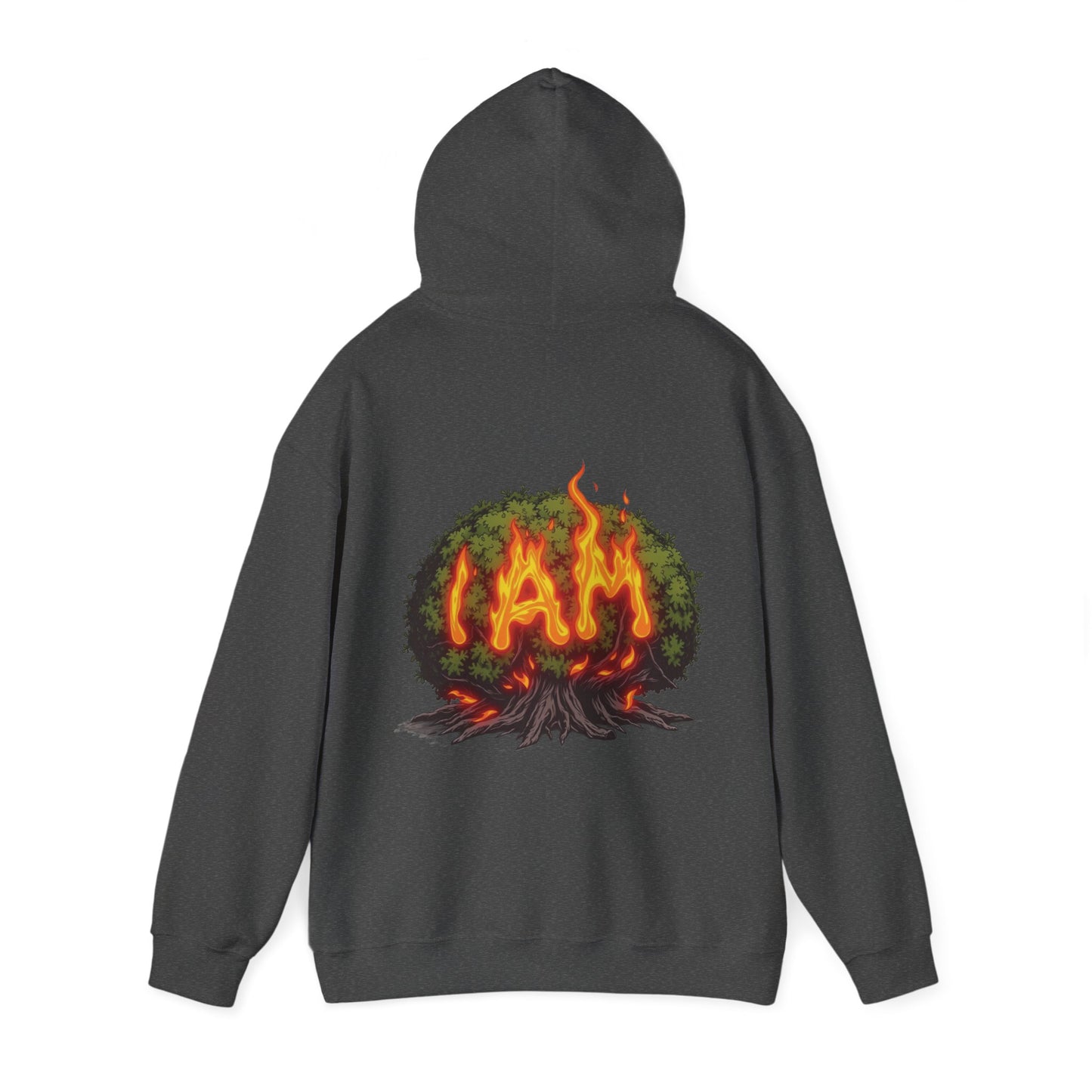 'Exodus 3:14 I AM' Hoodie