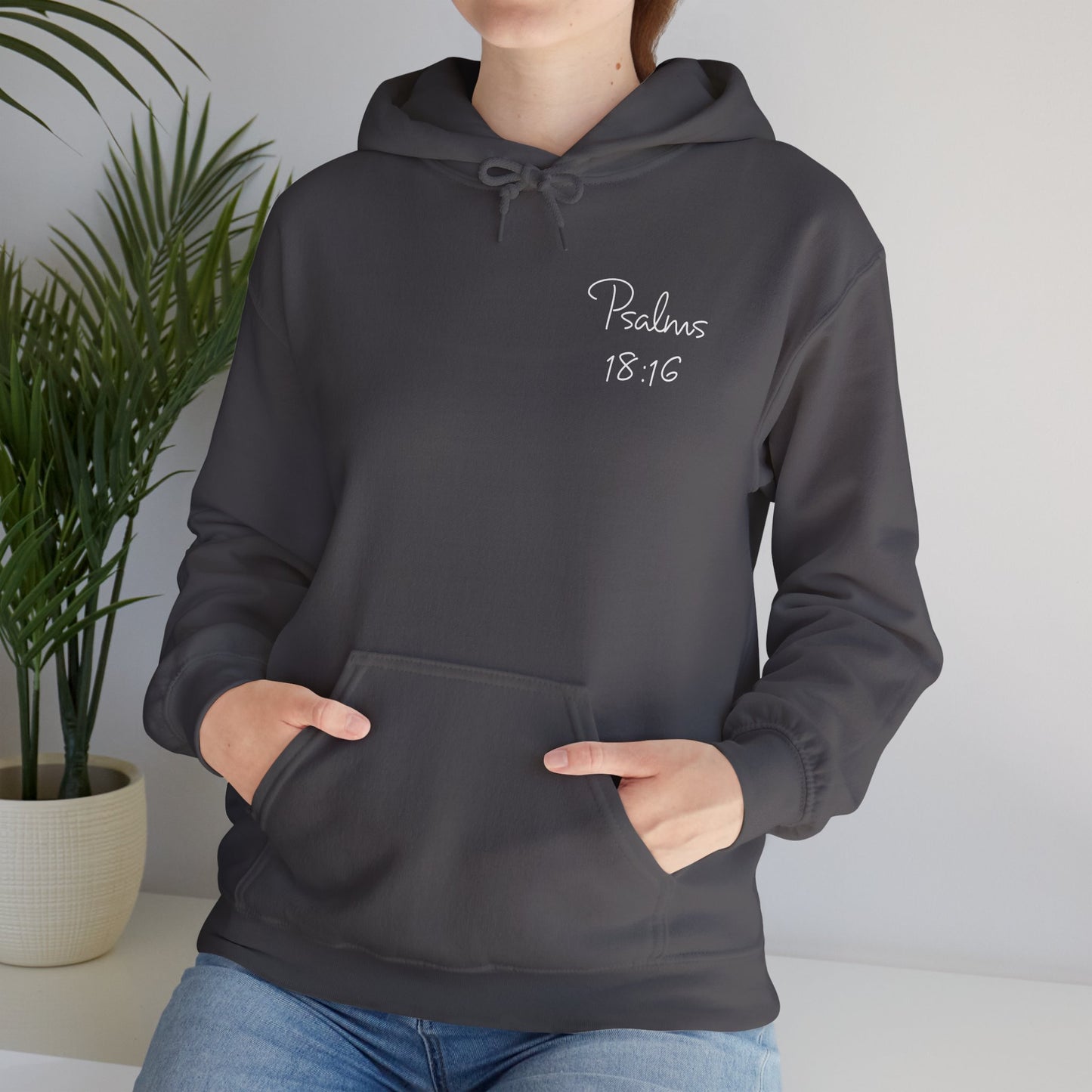 Psalms 18:16 Hoodie